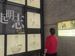 -碧江金楼