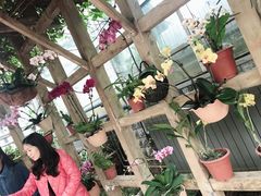 -南山植物园