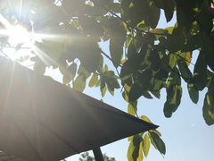 -广州市紫泥堂文化创意园景区