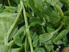 -小板凳(四公里店)