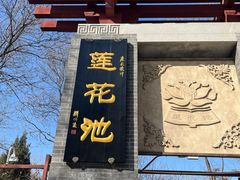 -莲花池公园