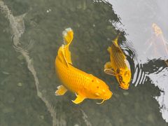 -中国宣纸文化园