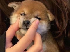 -西南民族大学南区(双流校区)