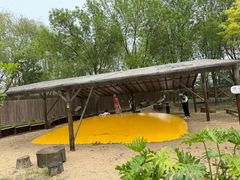 -圣露庄园·亲子活动乐园·露营·团建婚礼