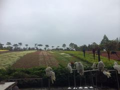 iphone_upload_pic-东部华侨城