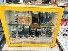 -哈尔滨道外花鸟鱼市场