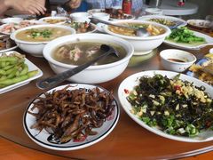 -大树下饭店(春晓镇慈岙社区卫生服务站南)