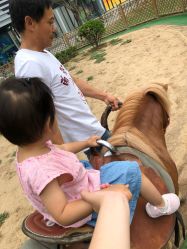 -萌宠亲子动物乐园(槐房万达店)