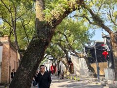 -三坊七巷历史文化街区