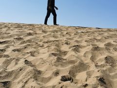 -亿利库布其七星湖沙漠生态旅游区