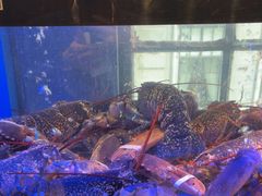 -皇朝会.经典传统粤菜(外滩店)