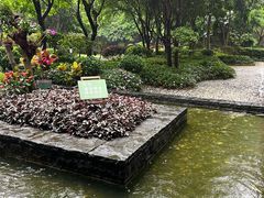 -南宁荔园维景国际酒店·荔园中餐厅