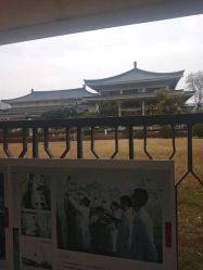 -朵拉造型