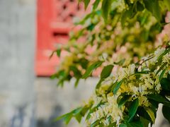 -大钟寺古钟博物馆