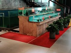 水产区-饭怕鱼(阳光100店)