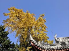 -龙华寺
