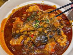 -龚兴城鱼羊吉·家传湖北菜(苗栗路总店)