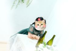 -贝影FACE亲子摄影(宁波区总店)