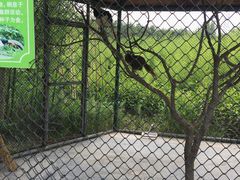 -兰陵国家农业公园