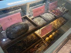 -梧州双钱龟苓膏(丽港航母店)