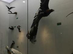 -盐城丹顶鹤湿地生态旅游区