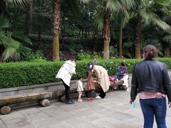 -铁山坪森林公园