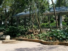 -晓港公园