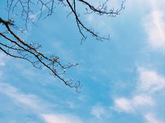 -杭州植物园