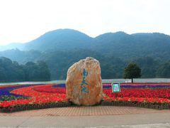 -广州市石门国家森林公园