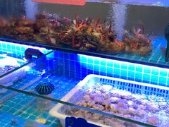 -神帆·元气汤泉(解放西路店)