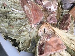 -东山矮马桶羊肉(太湖东山店)