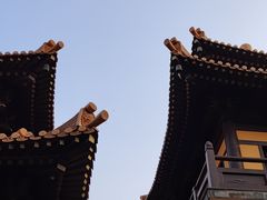 -亭林园-华藏寺