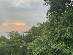 -圣淘沙天际线斜坡滑车