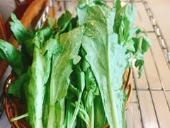 茼蒿-情忆草原涮肉馆