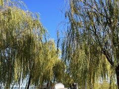 -天津东丽湖风景区