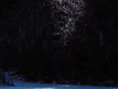 -迪庆藏族自治州博物馆