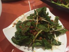 -香巴拉云南餐厅(华莱坞店)