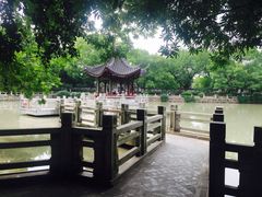 -汇龙潭