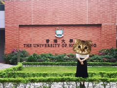 -香港大学
