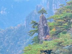 -黄山风景区