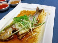-百年银屏蚝烙·潮汕菜·非遗(乐山店)