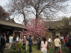 -西安青龙寺遗址景区