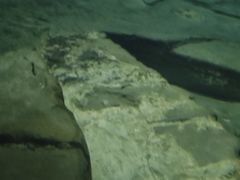 -白鹤梁水下博物馆