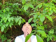 -黎坪国家森林公园