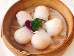 金牌虾饺皇-江南村酒家