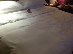 -昆明中心皇冠假日酒店