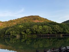-白马涧龙池景区
