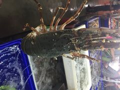 班赞生鲜市场-班赞海鲜市场