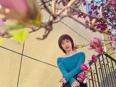-三里屯东五街银杏大道