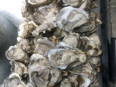 -千滋百味自助海鲜烤肉(布吉景华店)